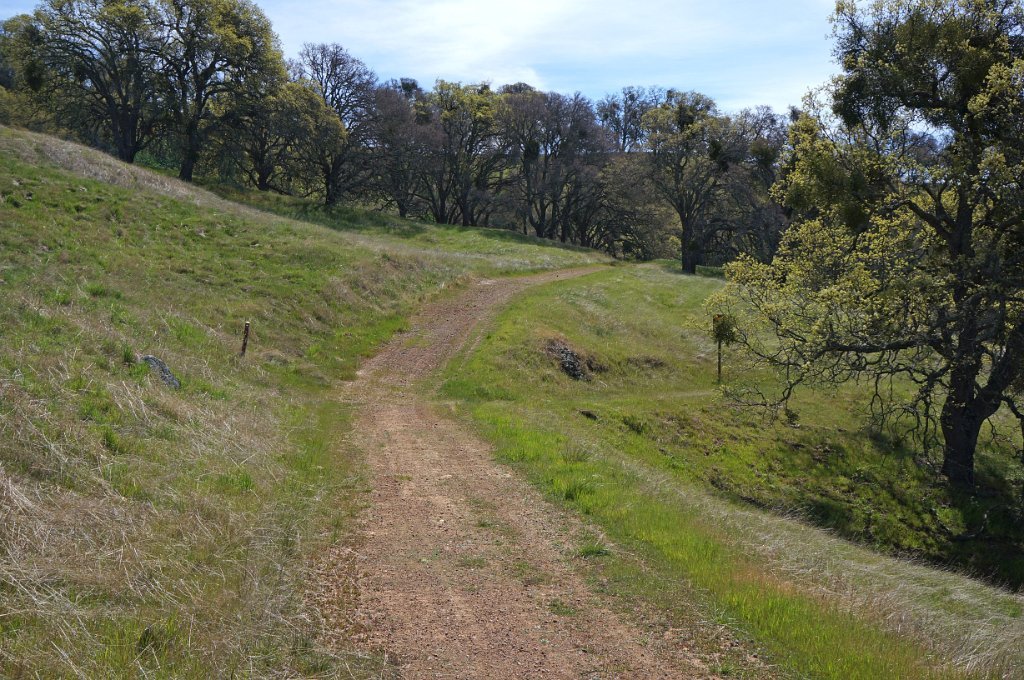 DSC05120