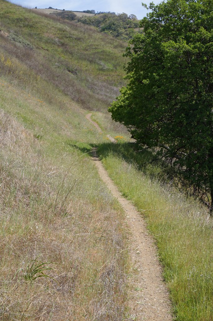 DSC05148