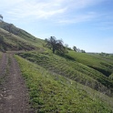 DSC05021