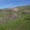 DSC05039