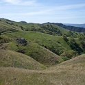 DSC05082