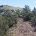 DSC05090