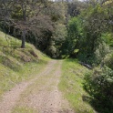 DSC05117