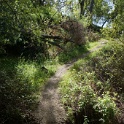 DSC05156