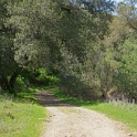 DSC05174