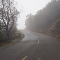 DSC00880