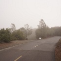 DSC00881