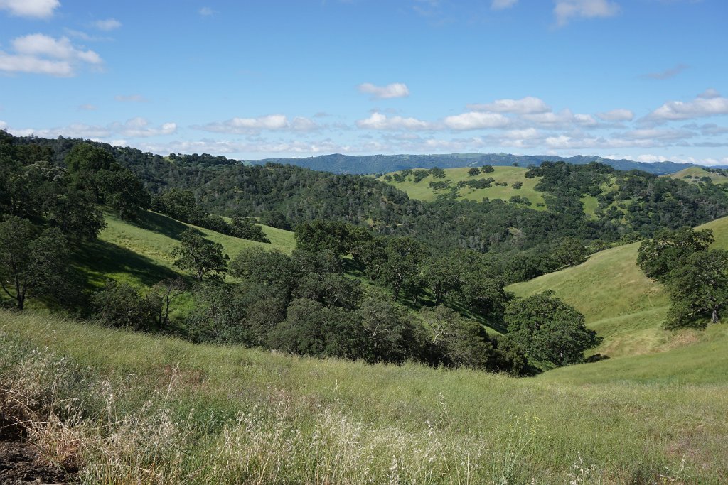 DSC05455