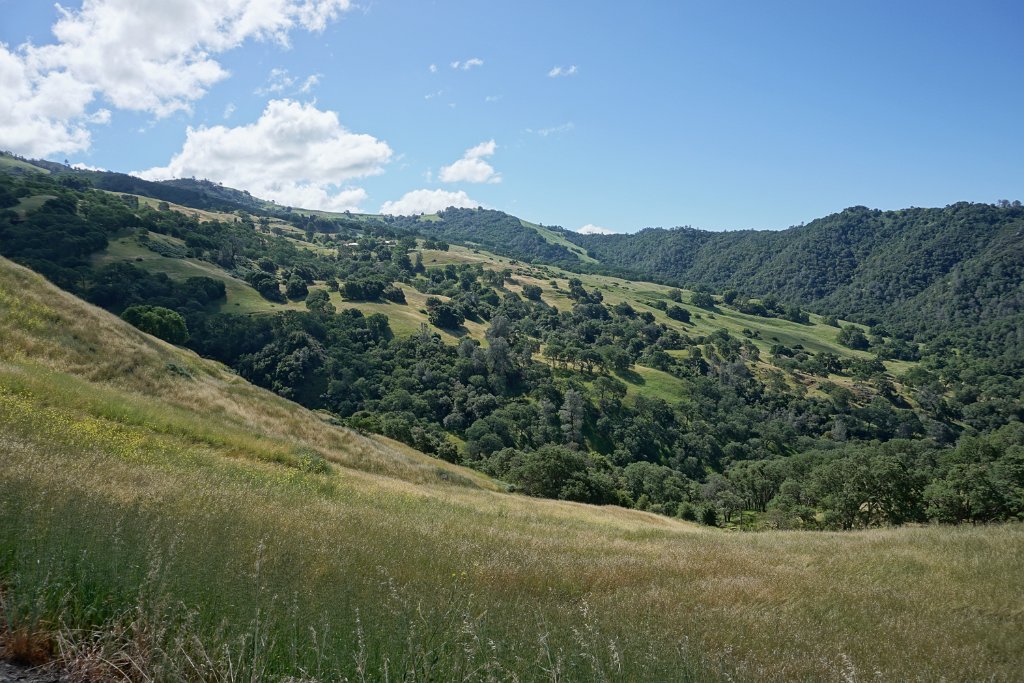 DSC05457