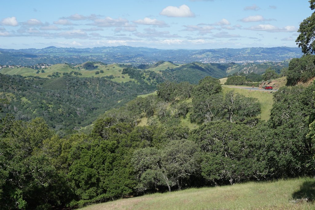 DSC05460