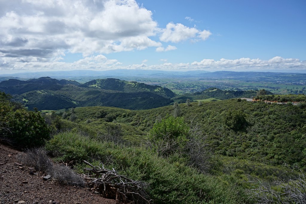 DSC05481