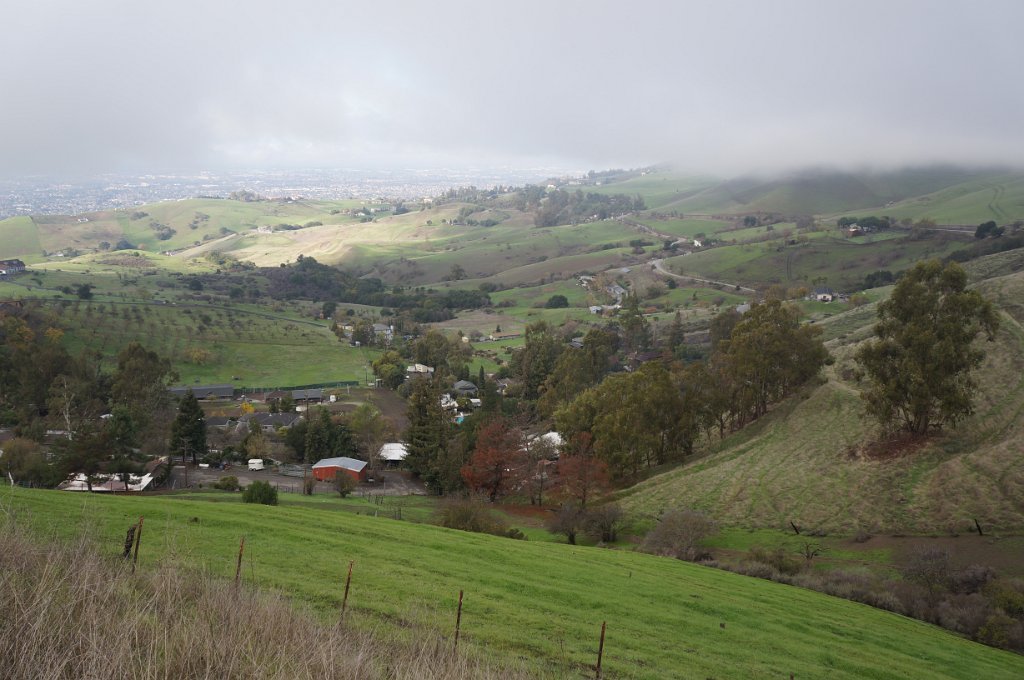 DSC00935