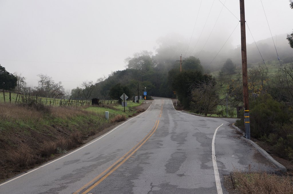 DSC00941