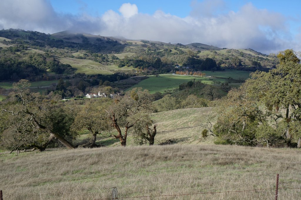 DSC00970
