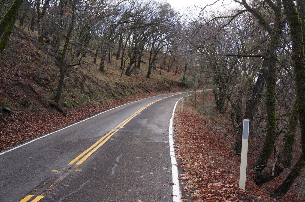 DSC01004
