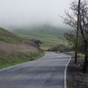 DSC00930