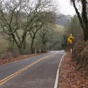 DSC00987