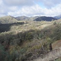 DSC00994