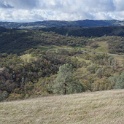 DSC00998