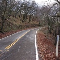 DSC01004