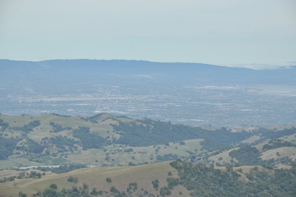 DSC_2896