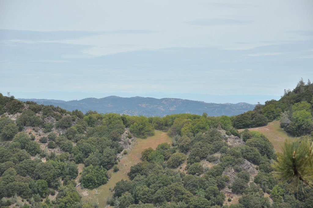 DSC_2915_orig