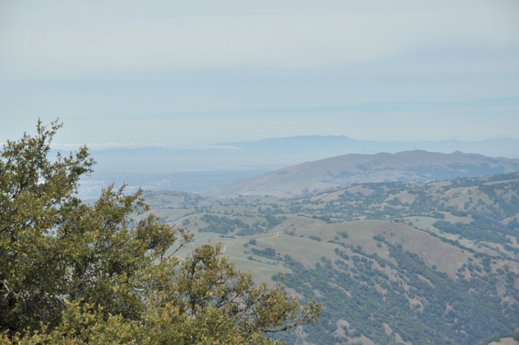 DSC_2916_orig