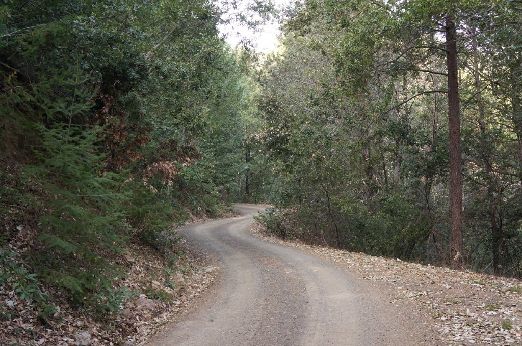 DSC00165