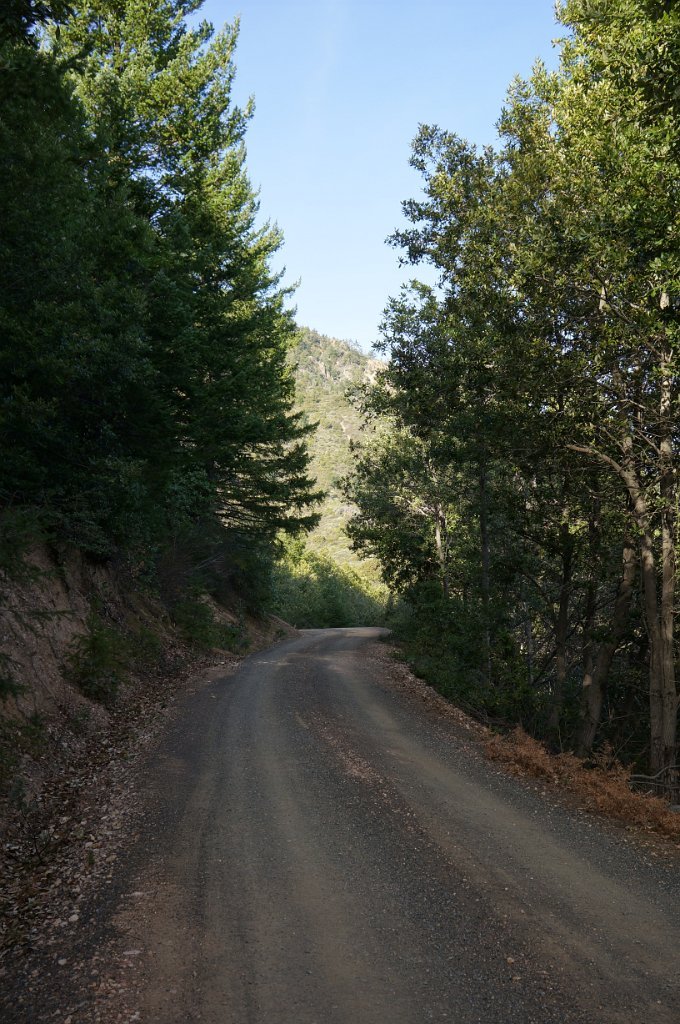 DSC00167