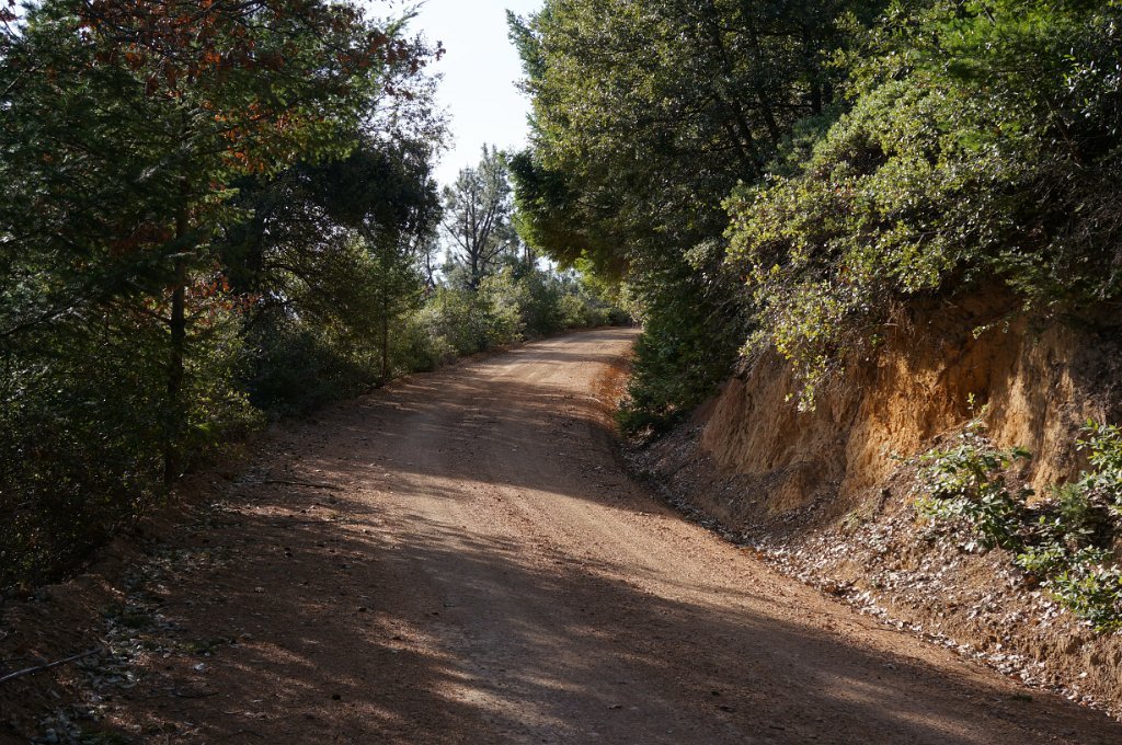 DSC00173