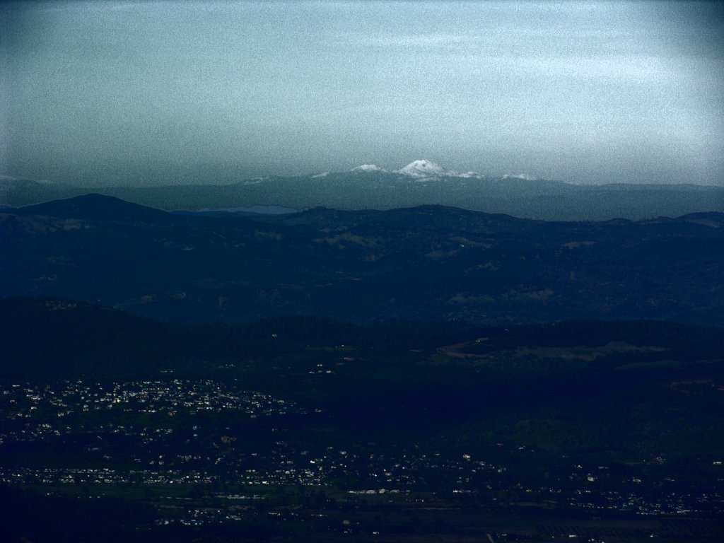 DSCN2466