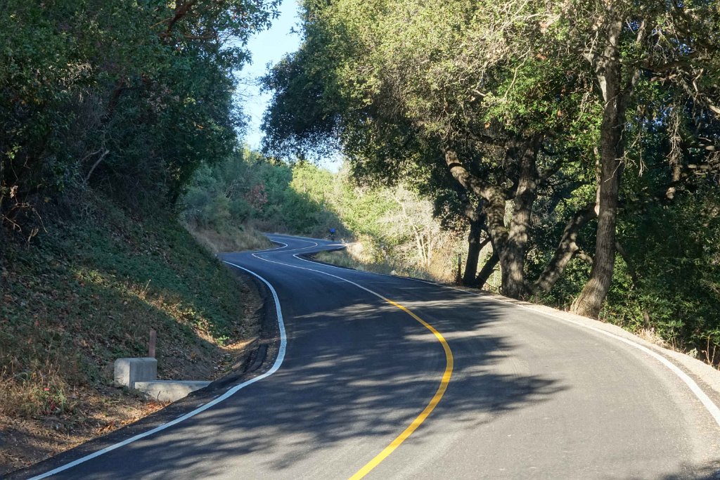 DSC09784