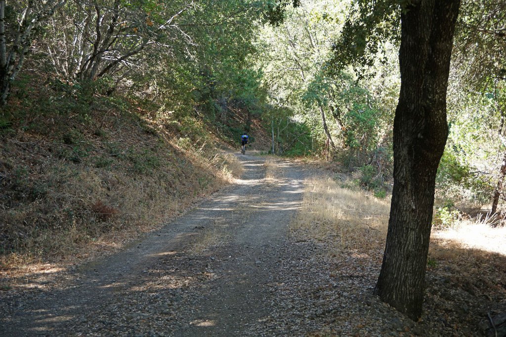 DSC09945