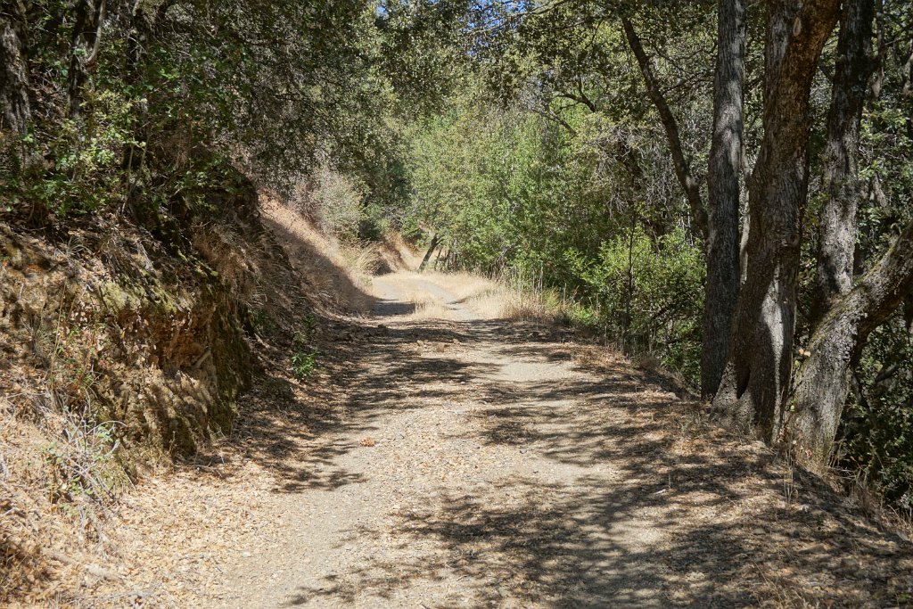 DSC09952