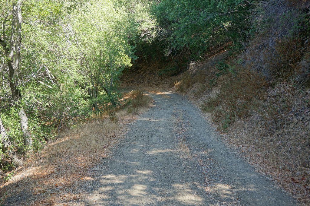 DSC09957
