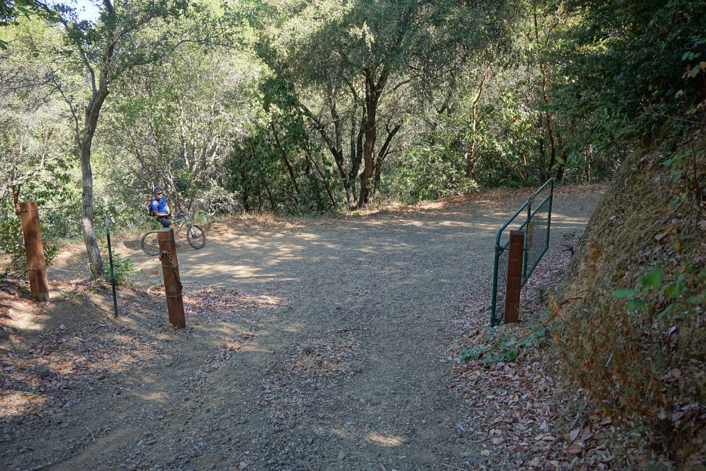 DSC09964
