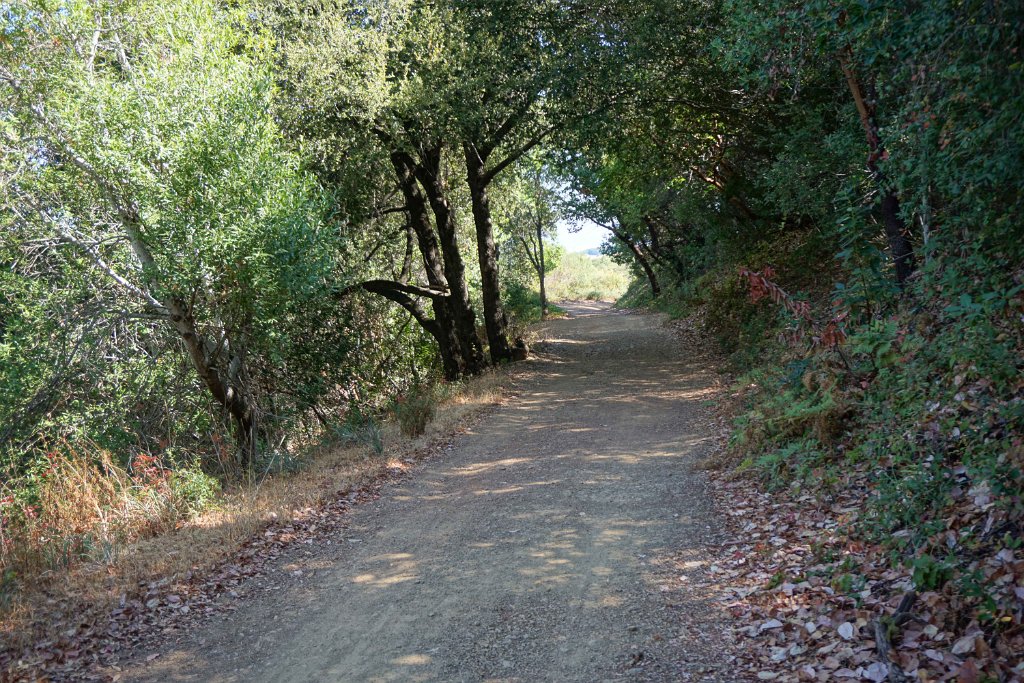 DSC09970