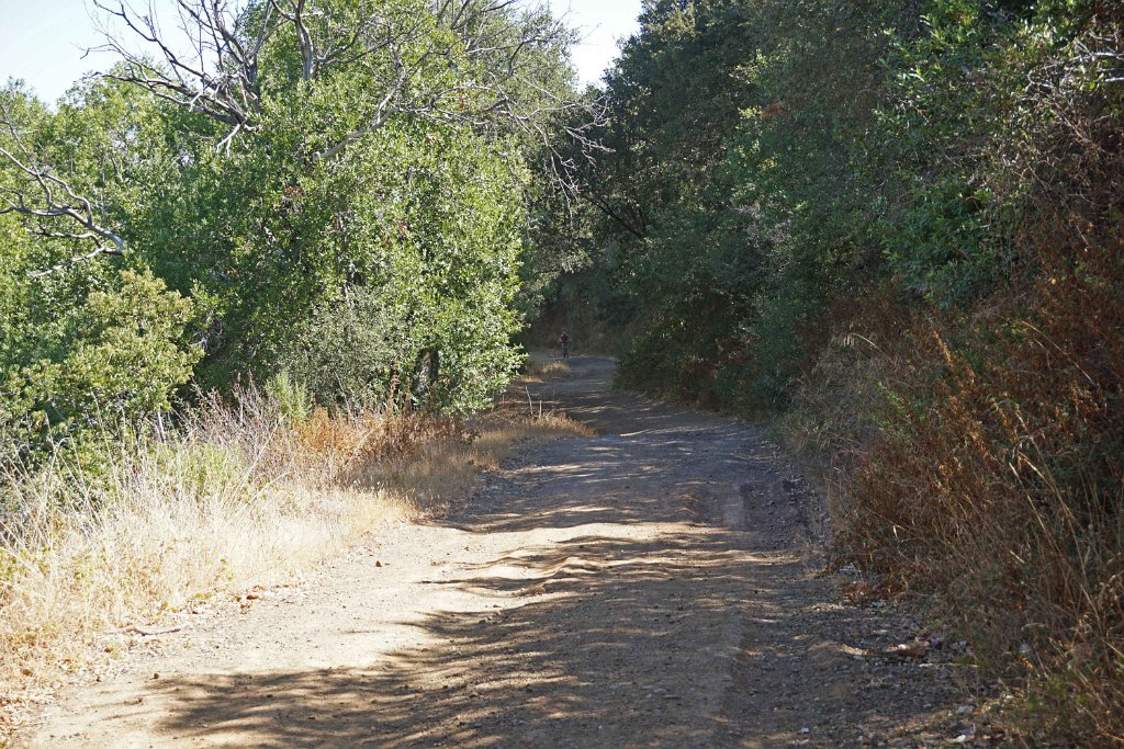 DSC09971
