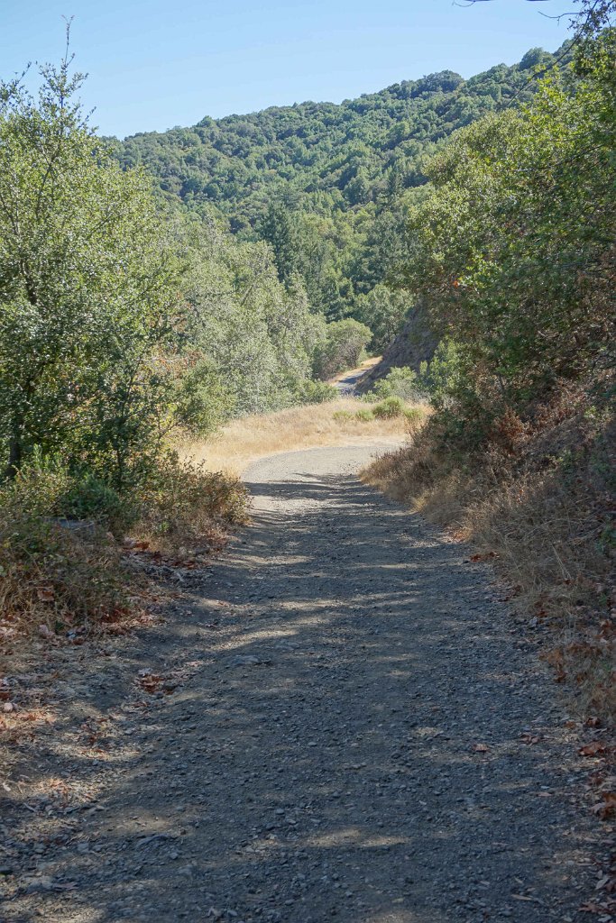 DSC09976