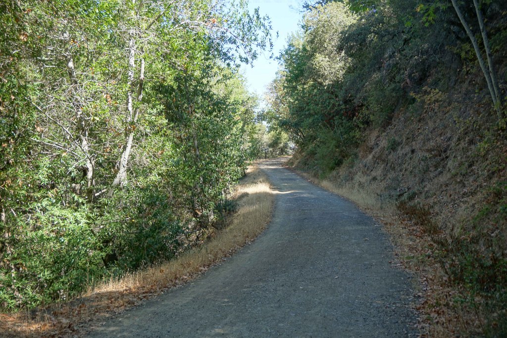 DSC09985
