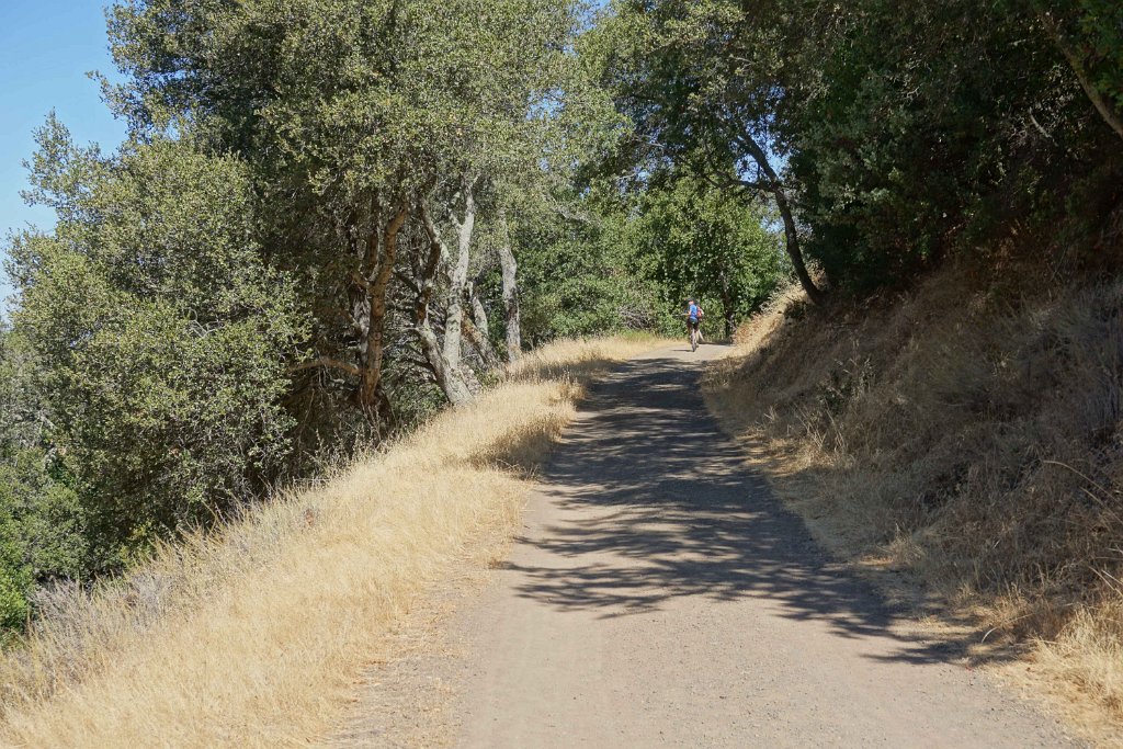 DSC09990