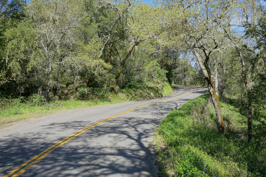 DSC05088