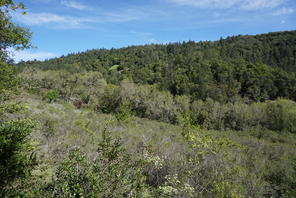 DSC05090