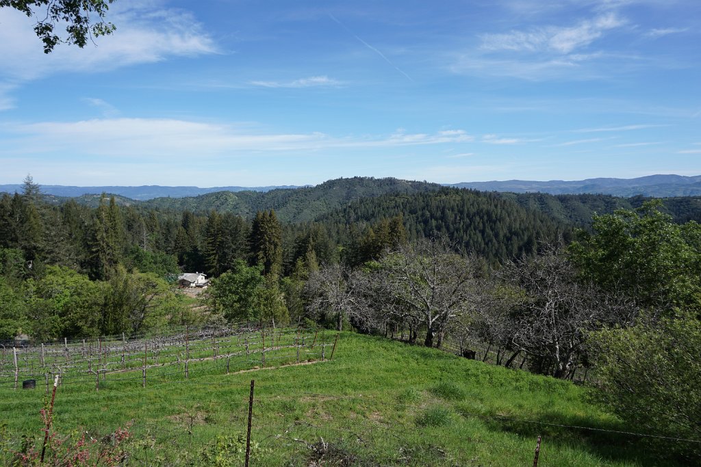 DSC05104