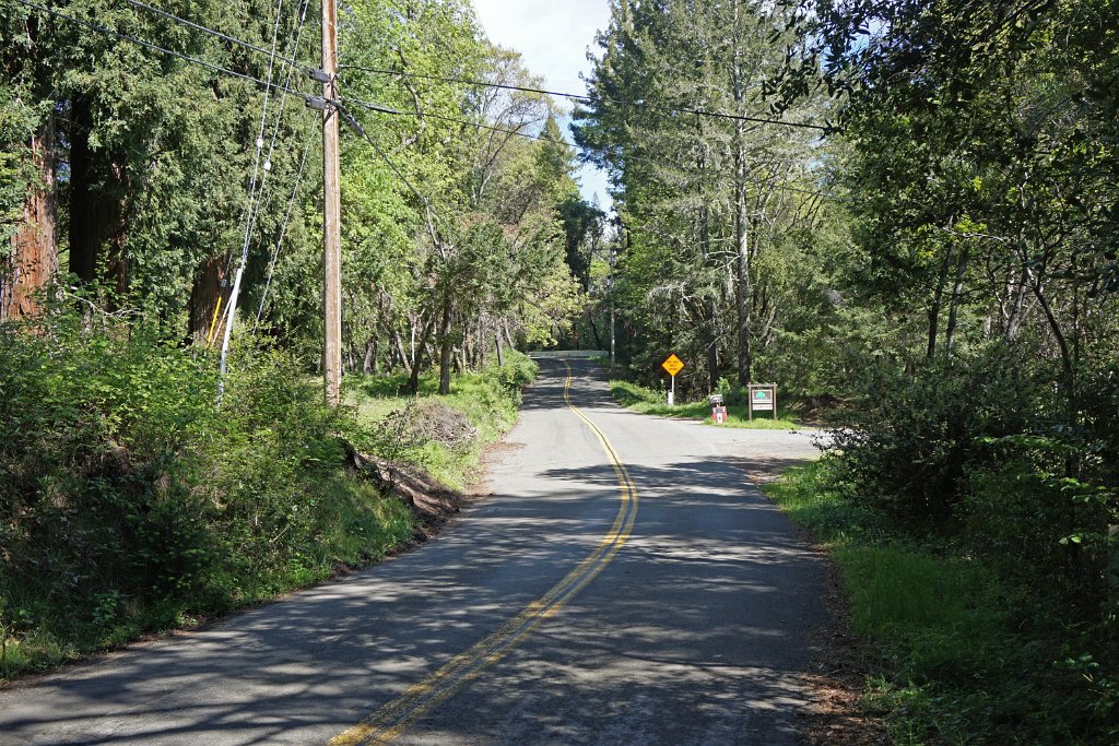 DSC05107