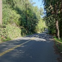 DSC05065