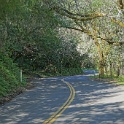 DSC05086