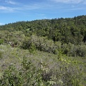 DSC05090