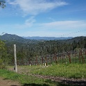 DSC05097