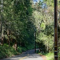 DSC05099